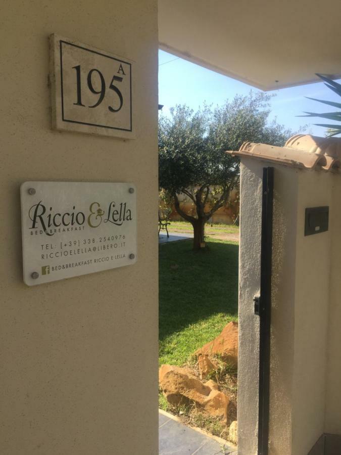 Bed&Breakfast Riccio&Lella Φιουμιτσίνο Εξωτερικό φωτογραφία